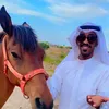 adbad40