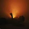 kakaaaaadms