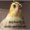 dodo.ass.bitch