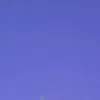 _ro.815_