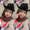 inii_febi