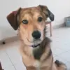noname.com437