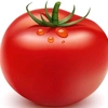 i_pomidor228777