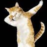 Funcat Vanvalkenburgh