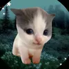 userbdigz1cugz