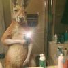 gonza_245