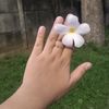 bsamsb