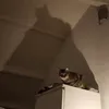 .lukaaaaaaaaaa