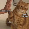 sgtaaaaa