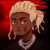 poppy.opio