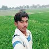 jamtavneer