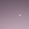 dumphas_