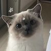 j.minholly_