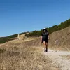 sgarbikarina
