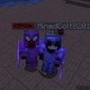 minecrafter_player