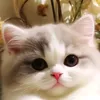 he_lo678