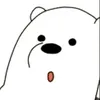 bachduong_3103