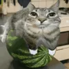 diyuv_