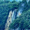 beteljoysh