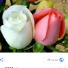 user3568035499379