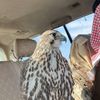 🇸🇦