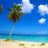 pufferfish_808