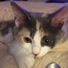 feistymiakitten
