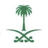 saudicool1