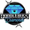 🐈‍⬛💎Doodlebugs Diamonds💎