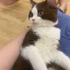 meomeoajjw