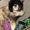 kjaypaw