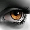 ahmedfayez317