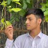 malikshamoonkhan997