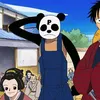 pandamn_1