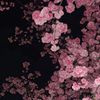 toya_may