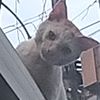 sagi.san