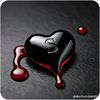 shabeer2341