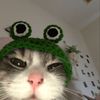 zain_tik