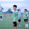 hoangnhat602