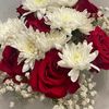 lole_2023a2