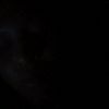 greydis_4