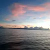vickytanoe
