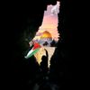 palestine.021