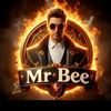 mr_bee40