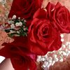shab13_