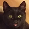 dj.gey