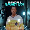 SMART BOI 256