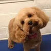 rubydoobydoo_23