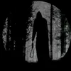 _.radu._5