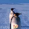 zonekix_yt